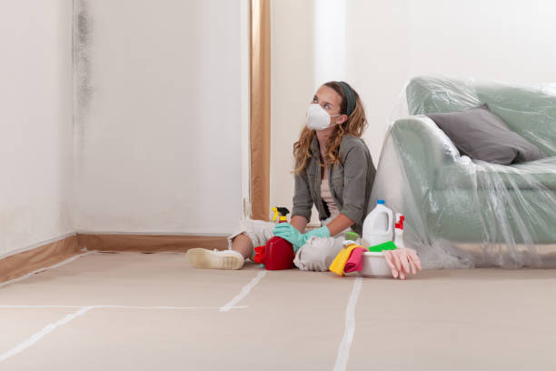 Reliable Mold Remediation contractor in Williamston, MI by Cheap Mold Removal